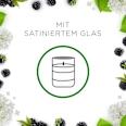 Duftkerze im Glas Brombeere & Holunderblüte (2x105 g) AIR WICK