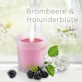 Duftkerze im Glas Brombeere & Holunderblüte (2x105 g) AIR WICK