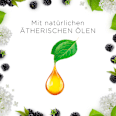 Duftkerze im Glas Brombeere & Holunderblüte (2x105 g) AIR WICK