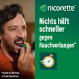 nicorette mint Spray zur Raucherentwöhnung mint Geschmack  nicorette