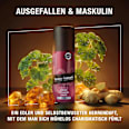 Deospray Loyal Man Ginger Geranium Amber bruno banani