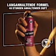Deospray Loyal Man Ginger Geranium Amber bruno banani