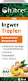 Ingwer Tropfen hübner