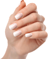 UV Gel Nagelfolien Natural Babyboomer Maniko