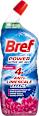 WC gel Power Aktiv Flower Bref