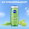 Duschgel Lemongrass & Oil NIVEA