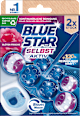 WC-Stein Selbst Aktiv Blüten Frische BLUE STAR