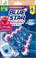 WC-Stein Selbst Aktiv Blüten Frische BLUE STAR