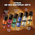 Deospray Made for Men bruno banani