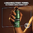 Deospray Made for Men bruno banani