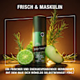 Deospray Made for Men bruno banani