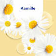 Seifenspender No Touch Kamille & Lotus, Hydra Care Nachfüllpack Sagrotan