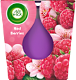 Duftkerze im Glas Raspberry Rose Splash 105 g AIR WICK