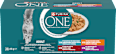 kapsičky pro kočky Mini filetky ve šťávě 40x85g, Multipack PURINA ONE
