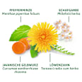 Arzneitee, Leber- & Galle Tee (12 Beutel) Bad Heilbrunner