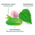 Kräutertee, Basische Kräuter (12 Beutel) Bad Heilbrunner