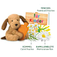 Arzneitee, Bio Magen-Darm Tee für Kinder (12 Beutel) Bad Heilbrunner