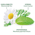 Arzneitee, Magen- & Darm Tee (12 Beutel) Bad Heilbrunner