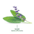 Kräutertee, Salbei (12 Beutel) Bad Heilbrunner