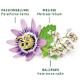 Arzneitee, Schlaf- & Nerven Tee (12 Beutel) Bad Heilbrunner
