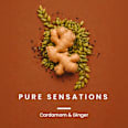 Duschgel Pure Sensations 3in1 MODULE