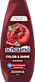 Шампоан за боядисана коса Shine schauma
