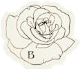 Gesichtsampulle Rose Longevity DR.BELTER