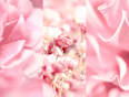Deospray No.3 Velvet Blossom 8x4 women