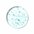 Gesichtsmist PDRN Hydrating Capsule Mist Hyaluronic Acid Anua