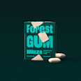 Kaugummi, Minze, zuckerfrei (10 Stück) Forest GUM