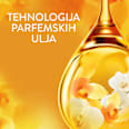 FRAGRANCE THERAPY omekšivač za veš - Gold Orchid & Vanilla Lenor