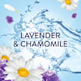 Omekšivač za veš - Lavander & Camomile Lenor