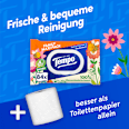 Feuchtes Toilettenpapier Family Maxi Pack Tempo