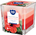 Świeca zapachowa hibiskus i biała szałwia AURA Candles
