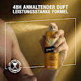 Deospray Arctic Vanilla bruno banani