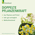 Bronchicum Elixir Bronchicum