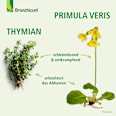 Bronchicum Elixir Bronchicum