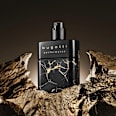 Performance Intense edp bugatti