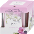 Vonná sviečka Flower Bowl ipuro