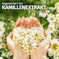 Leave-In Spray Kamille Herbal Essences