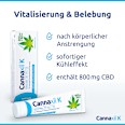 Cannaxil K 800mg kühlendes CBD-Aktiv-Gel Cannaxil K