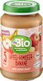 Früchte Apfel-Himbeer-Banane ab dem 5. Monat dmBio