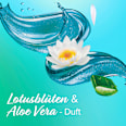 Duschgel Dusche & Rasur Thermel Spa Palmolive