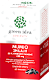 tobolky Mumio Shilajit green idea