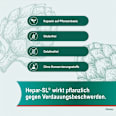 Hepar-SL 320 mg Artischockenblätter-Trockenextrakt Hartkapseln Hepar-SL