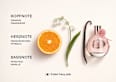 Be mindful Woman Eau de Toilette TOM TAILOR