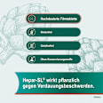 Hepar-SL 640 mg Artischockenblätter-Trockenextrakt  Filmtabletten Hepar-SL
