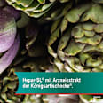 Hepar-SL 640 mg Artischockenblätter-Trockenextrakt  Filmtabletten Hepar-SL