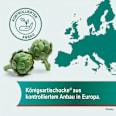 Hepar-SL 640 mg Artischockenblätter-Trockenextrakt  Filmtabletten Hepar-SL