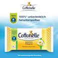 Feuchtes Toilettenpapier Natürlich Pflegend Cottonelle